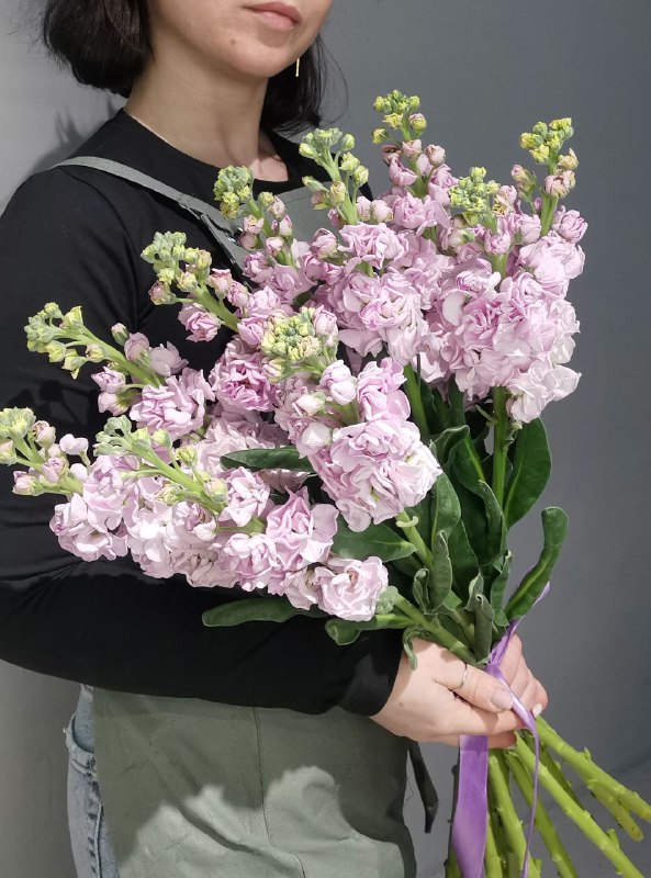 11 маттиолл под ленту — фото 2