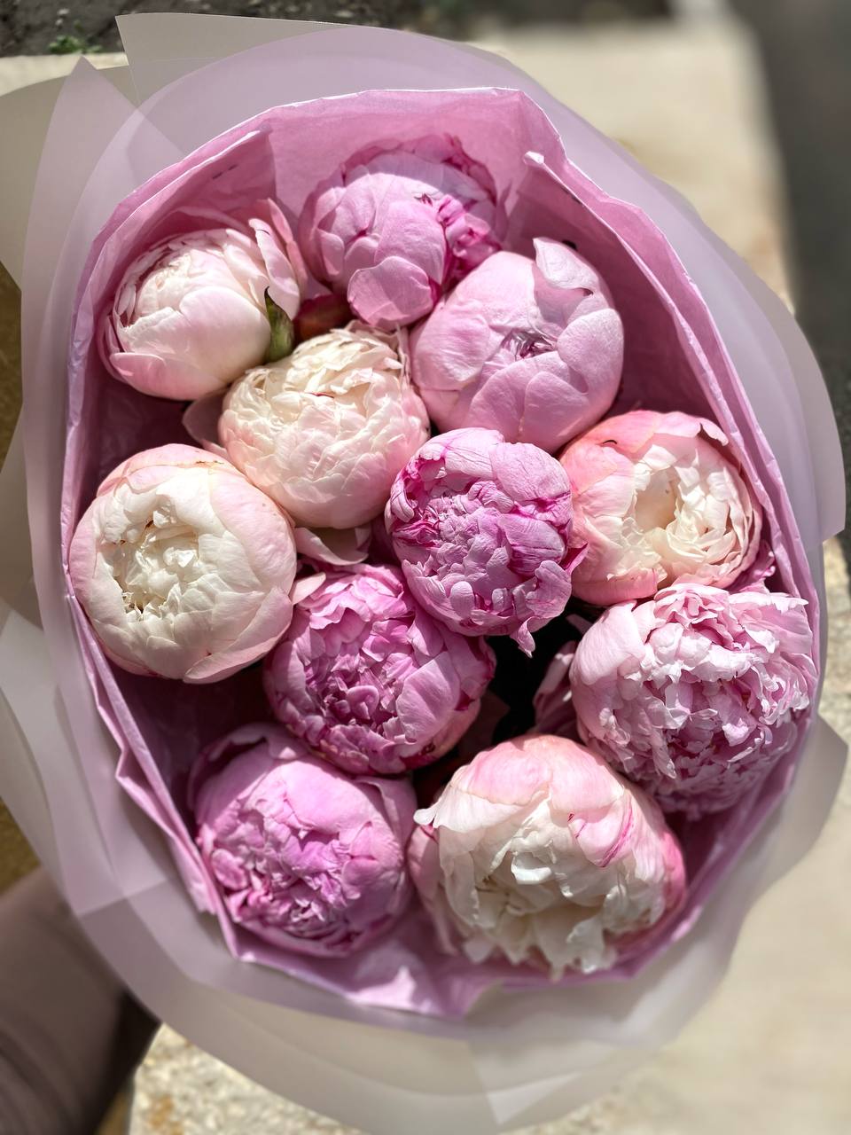 11 нежных пионов в упаковке