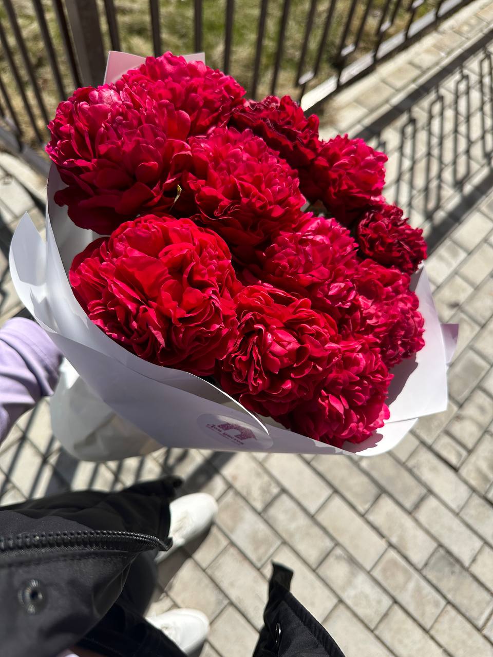 11 пионов, Генри Бокстокс