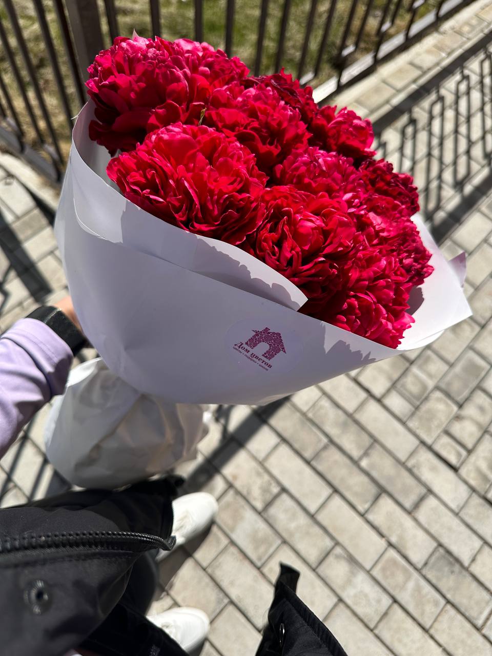11 пионов, Генри Бокстокс