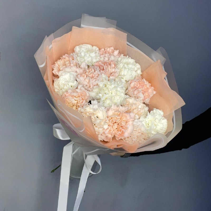 15 нежных диантусов в упаковке — фото 3