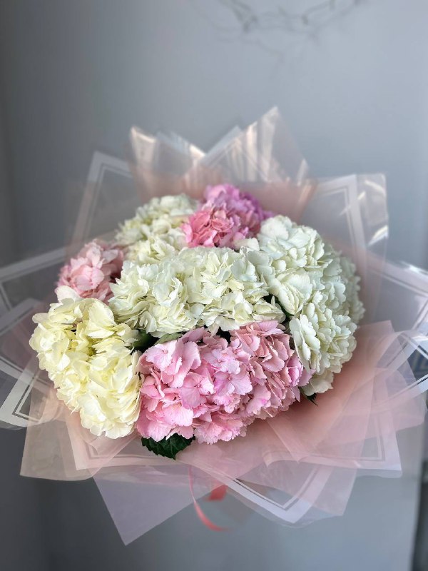 7 нежных гортензий Колумбия в упаковке — фото 1