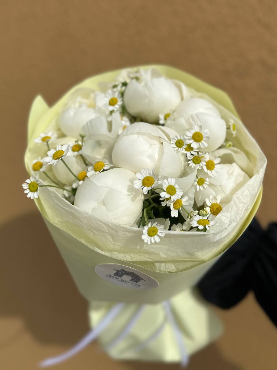 7 пионов Дюшес с матрикарией