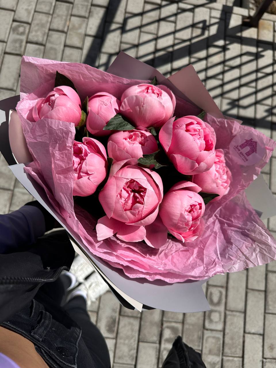 9 пионов, Салмон Этечед