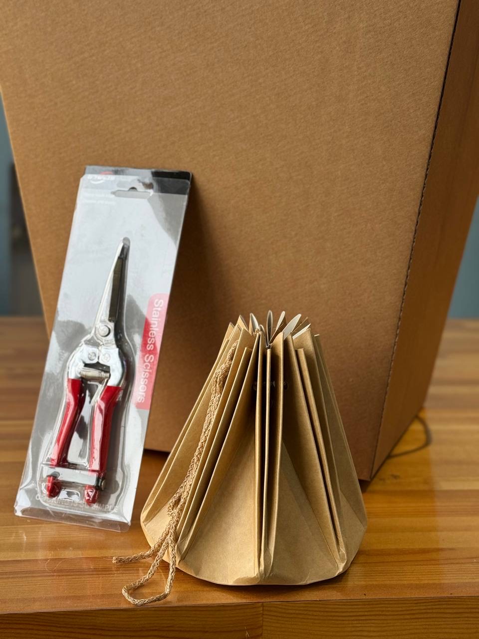 Аквабокс + сумка переноска + секатор — фото 2