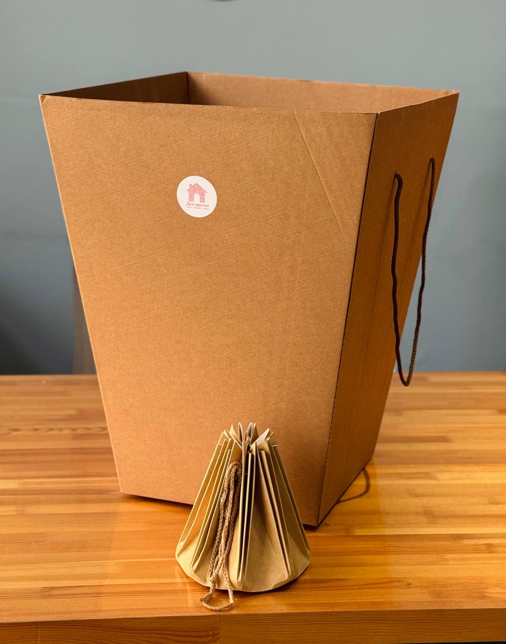 Аквабокс + сумка переноска