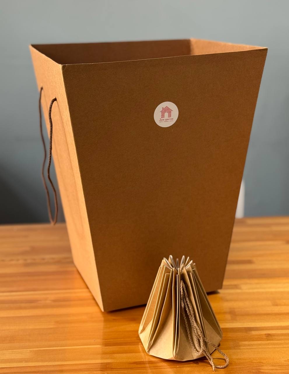 Аквабокс + сумка переноска — фото 2