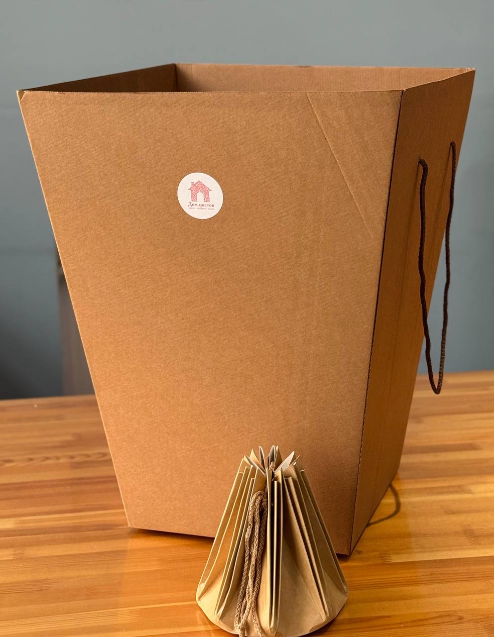 Аквабокс + сумка переноска