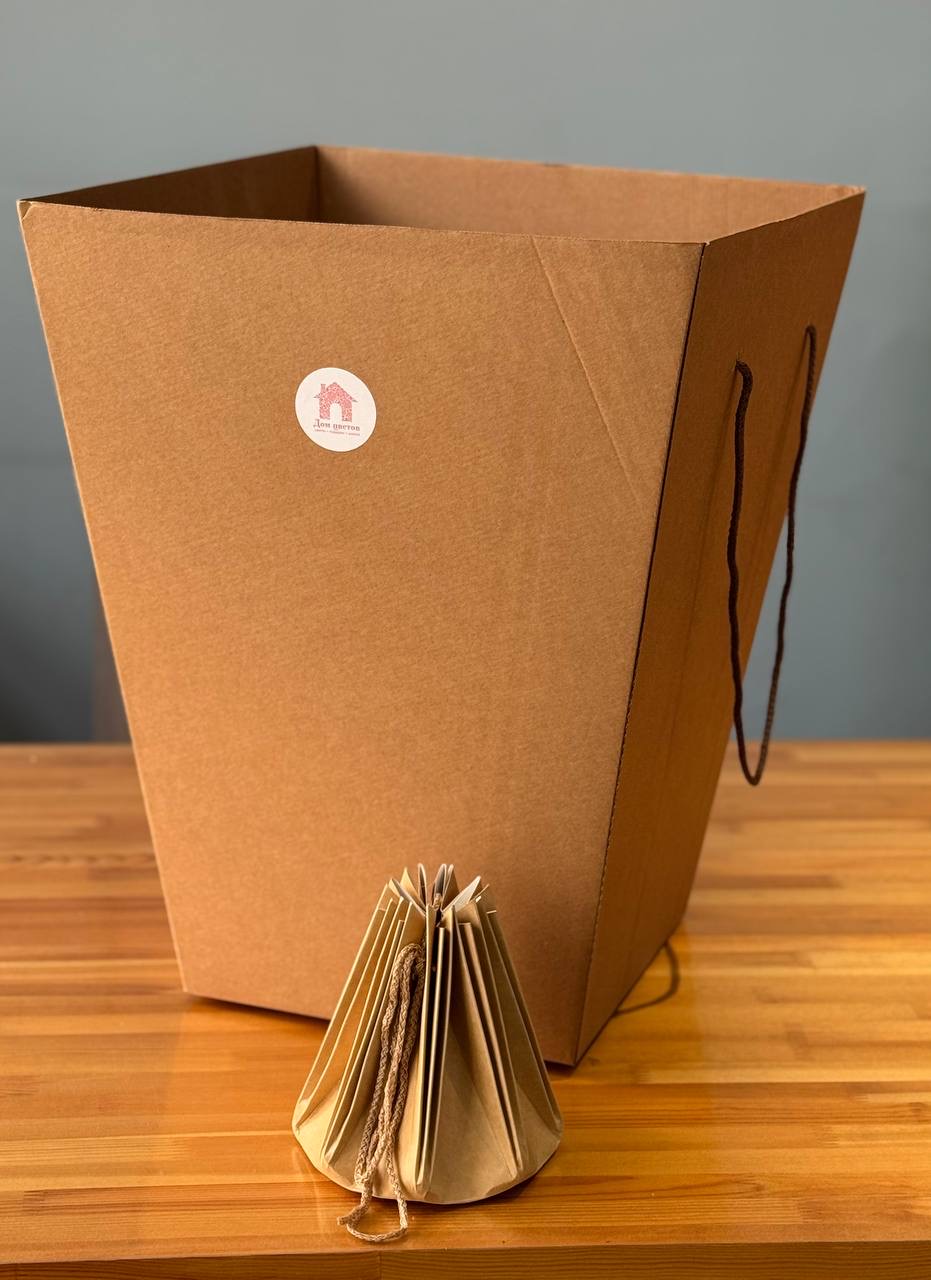 Аквабокс + сумка переноска