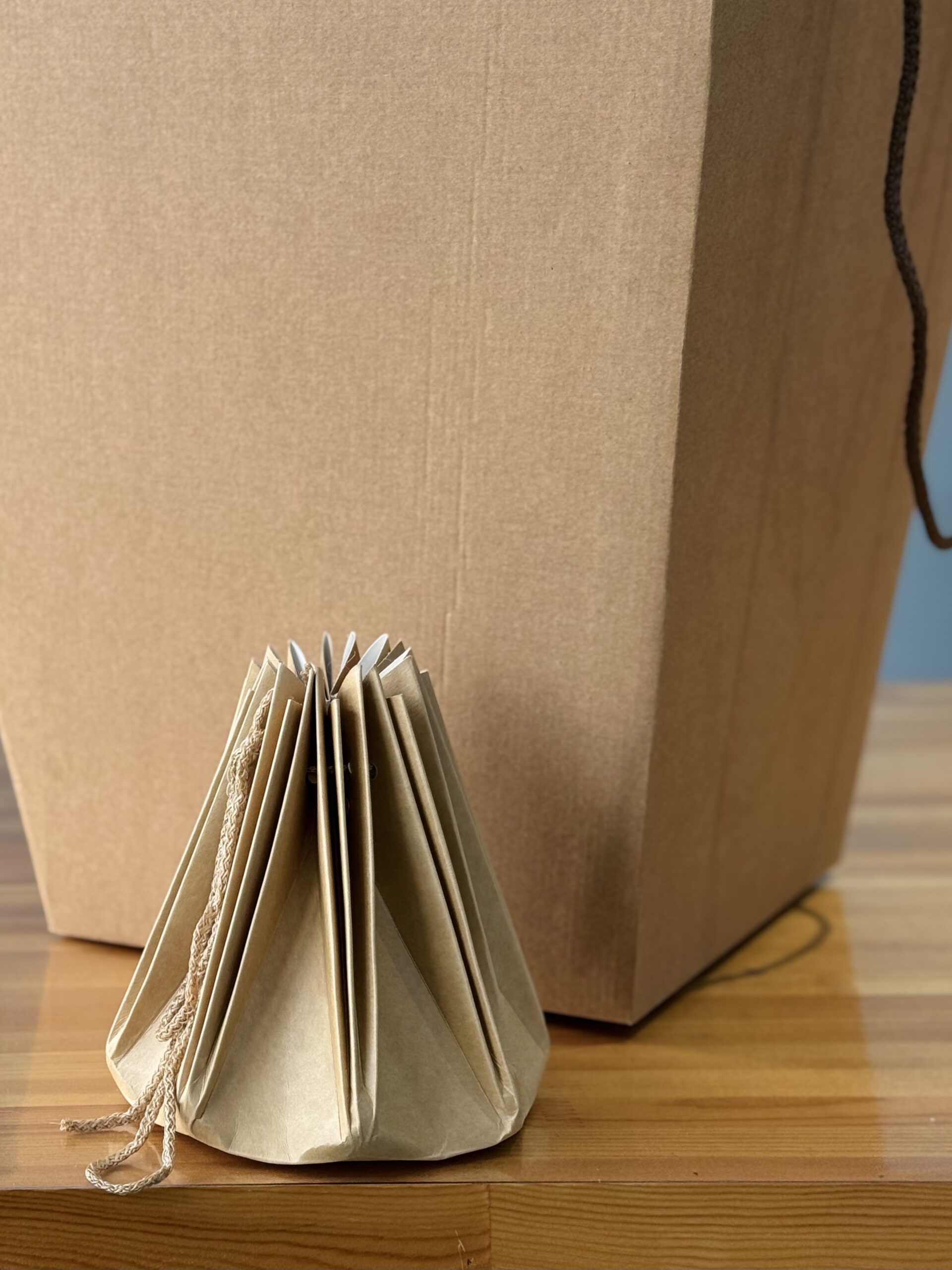 Аквабокс + сумка переноска — фото 5