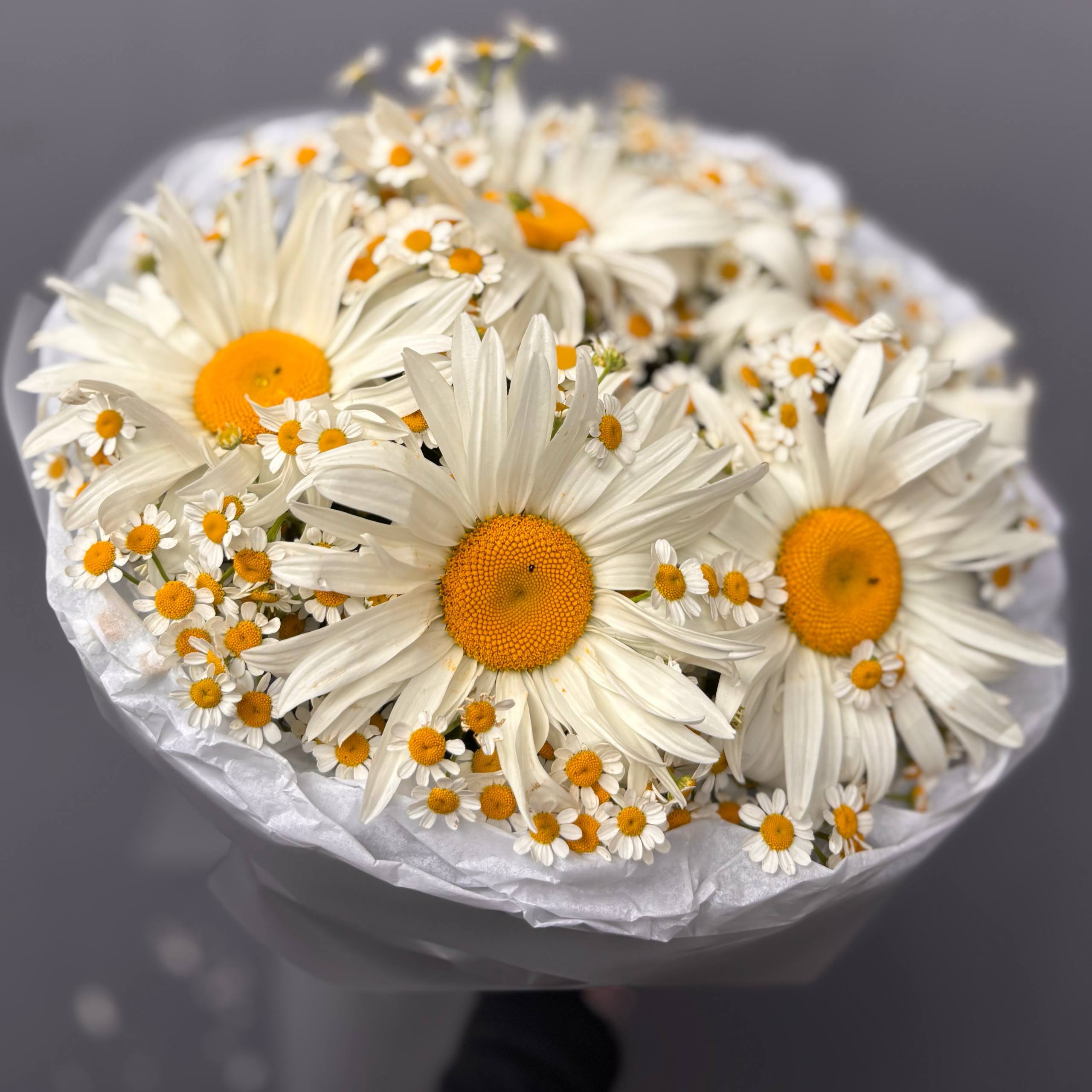 Авторский букет из 5 ромашек