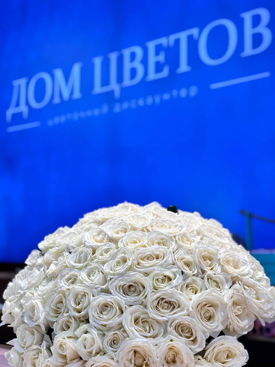 Букет из 101 белой розы, 50 см