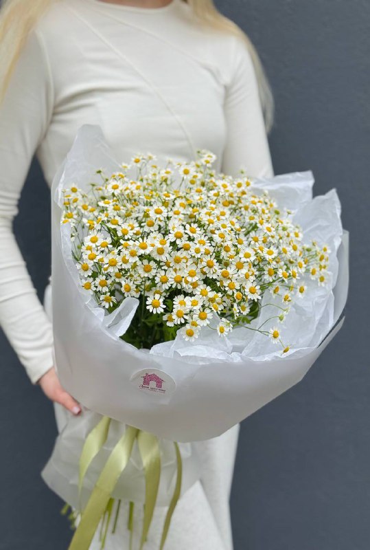 Букет из 15 нежных ромашек в оформлении