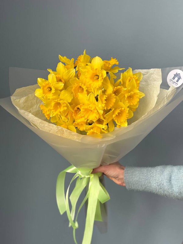 Букет из 25 солнечных нарциссов в оформлении