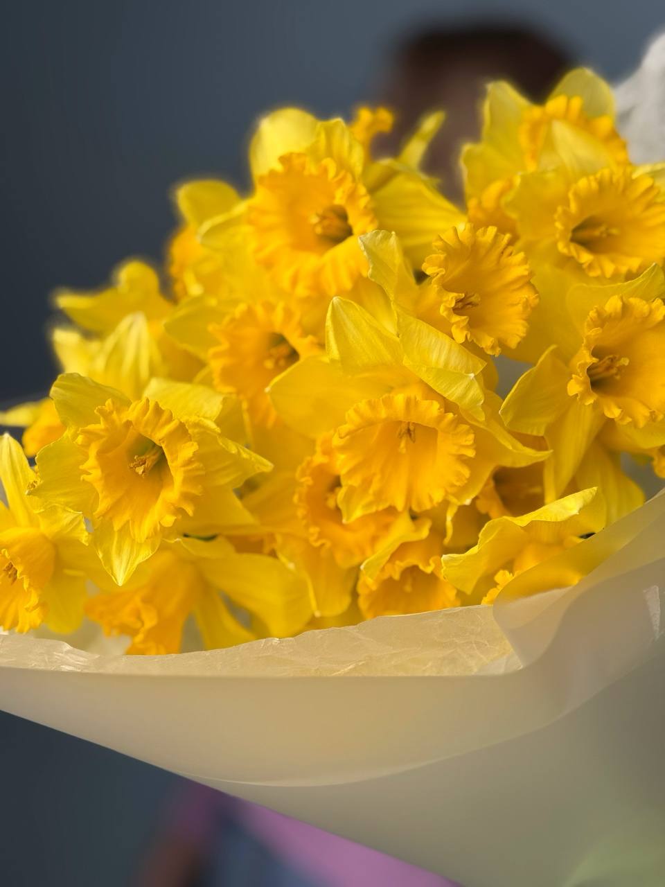 Букет из 25 солнечных нарциссов в оформлении — фото 5