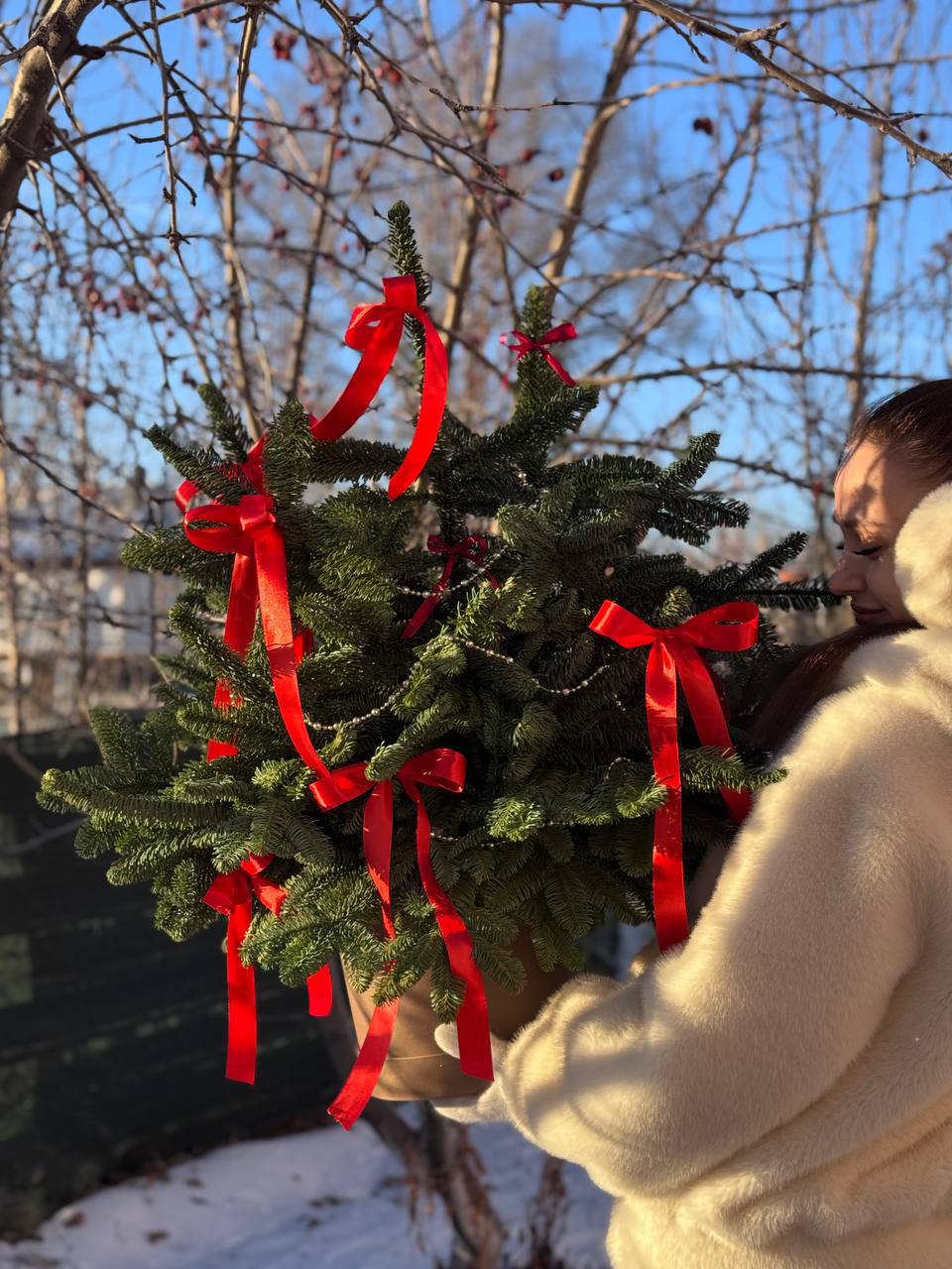 Композиция из нобилиса